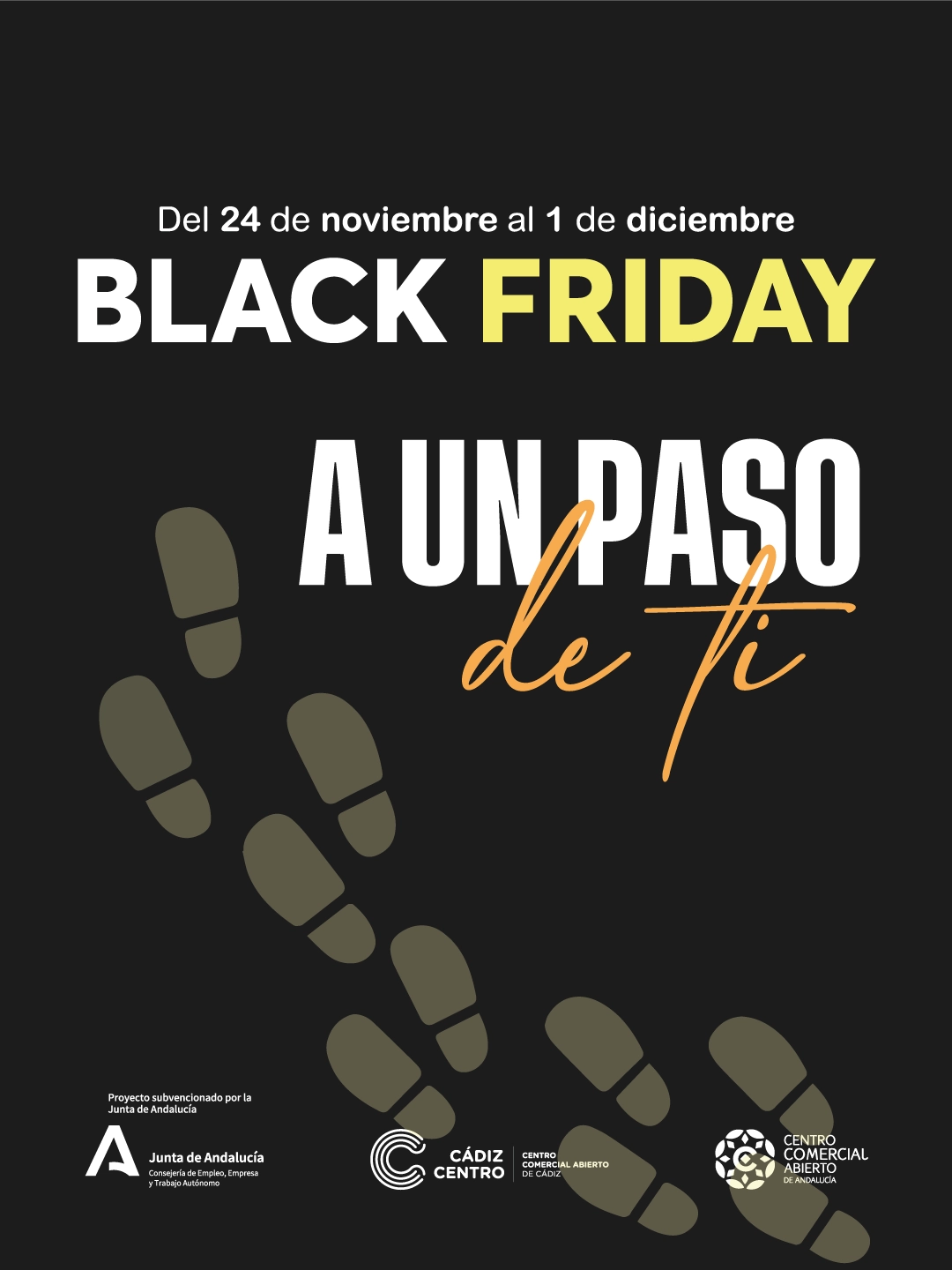 banner campaña black friday CCCA